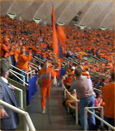 Illini Flag
