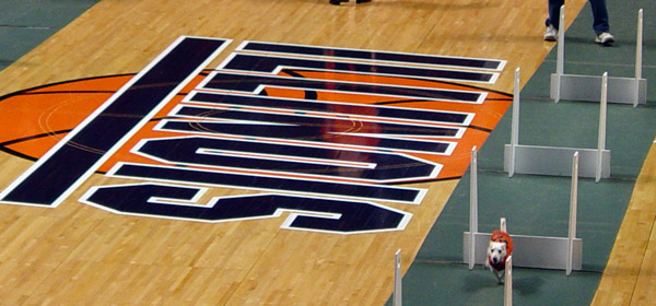 Assembly Hall Dog Races