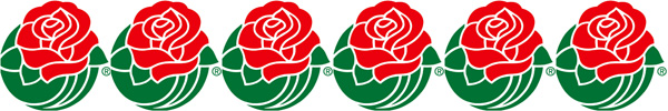Illinois vs USC in the Rose Bowl