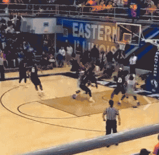 il-eiu-02.gif