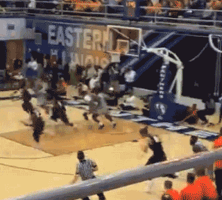 il-eiu-03.gif