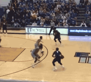 il-eiu-04.gif