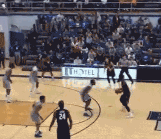 il-eiu-05.gif