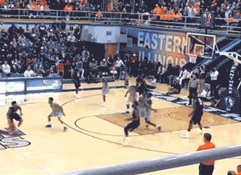 il-eiu-09.gif