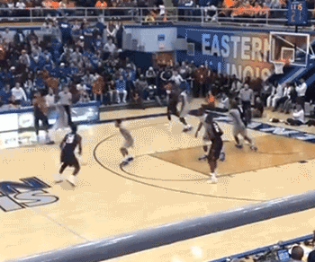 il-eiu-14.gif