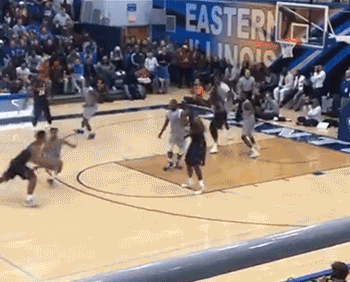 il-eiu-15.gif