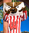 Bucky Badger