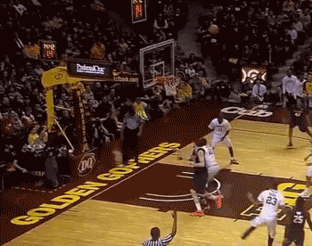 il-mnn-02.gif
