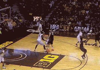 il-mnn-04.gif
