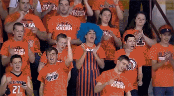 il-mnn-07.gif