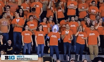 il-mnn-12.gif