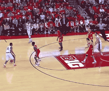 il-wiii-03.gif
