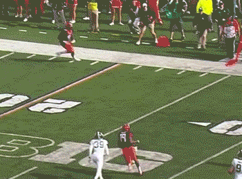 ilf-msu-06.gif