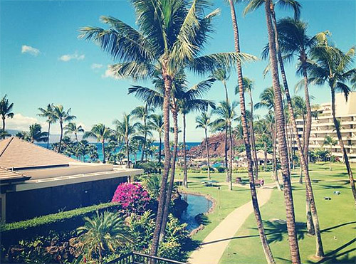 Illini in Honolulu
