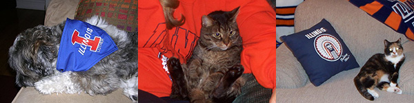 Illini Pets