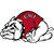 Gardner-Webb