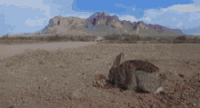 0F5DA609-9E63-49B1-84F1-1CBBE5184B1E.gif