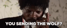 100.gif