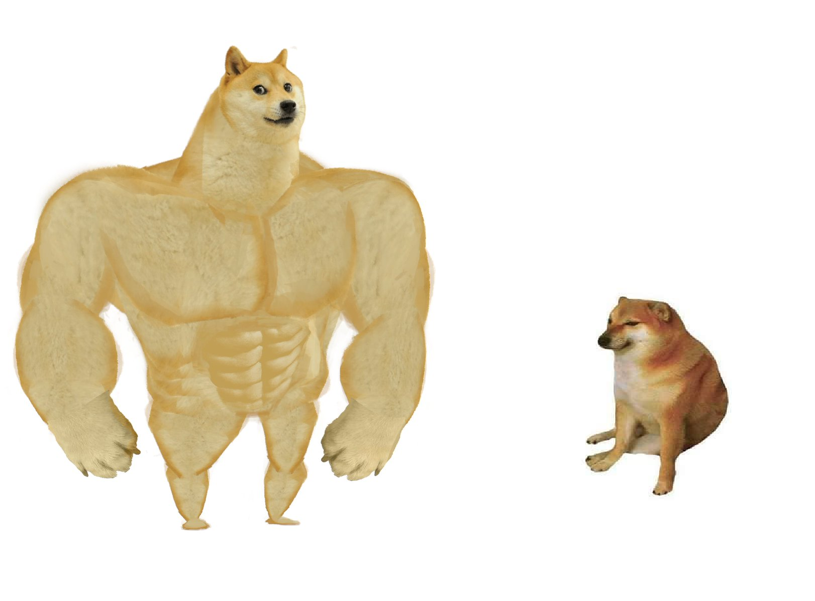1000016319.png