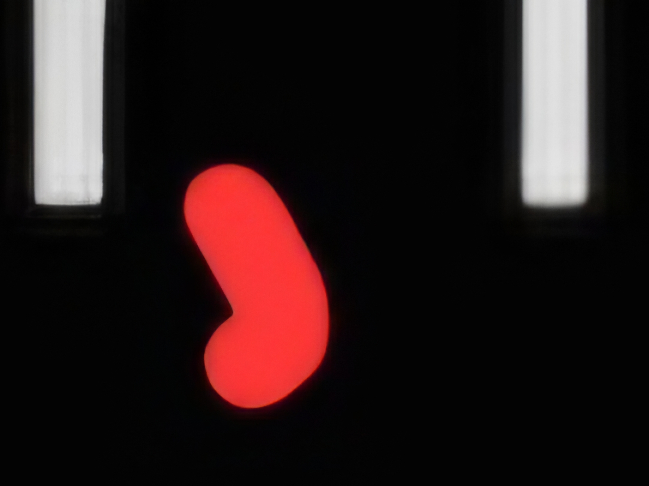 1000022843.jpg