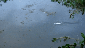 1615906527994.gif