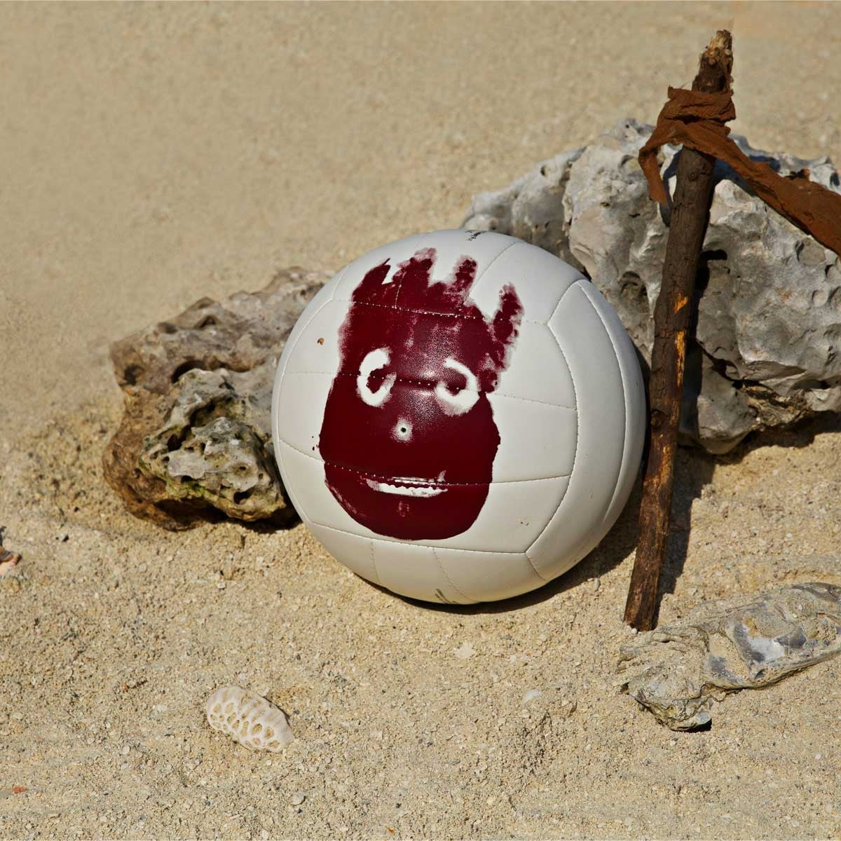 1619710804072.jpeg