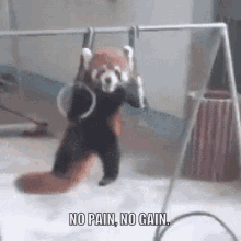 1623811141032.gif