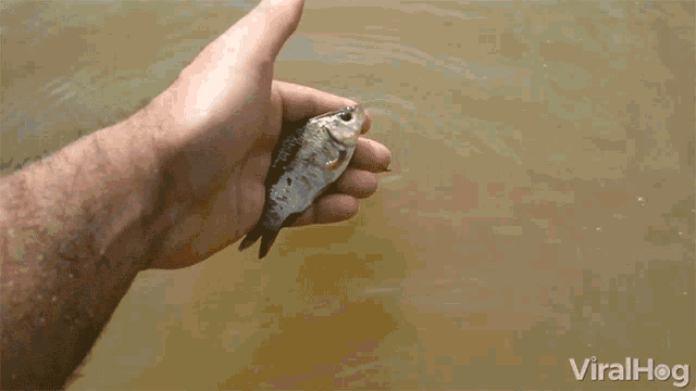 1628182392848.gif