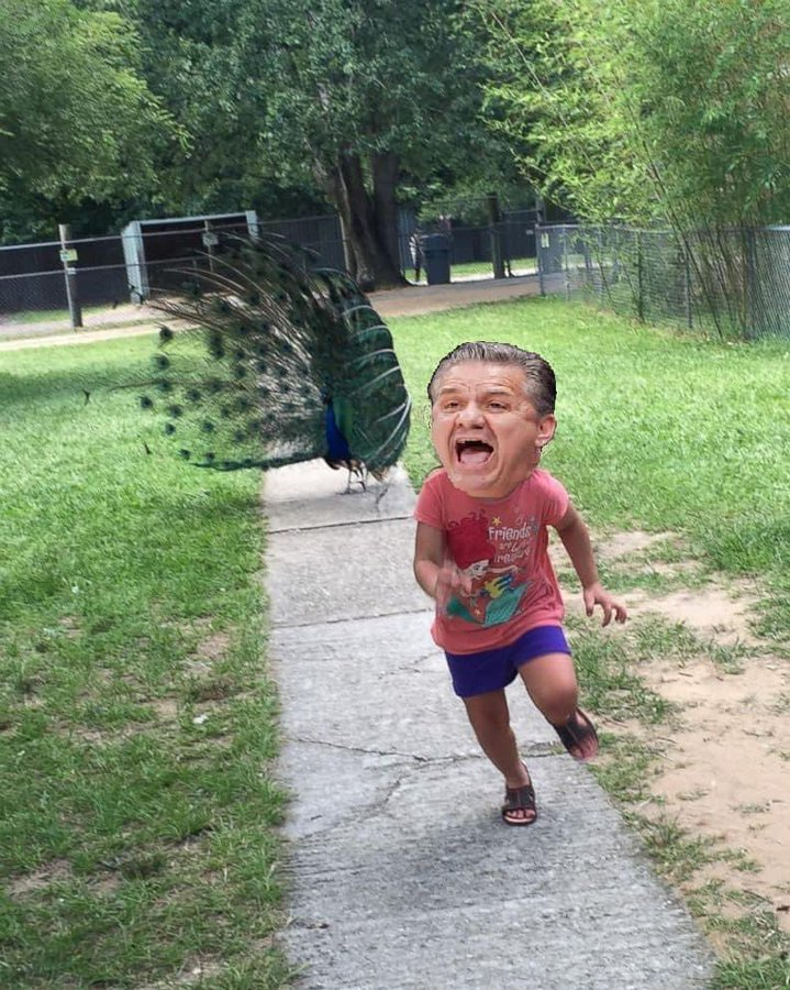 1647622697403.png