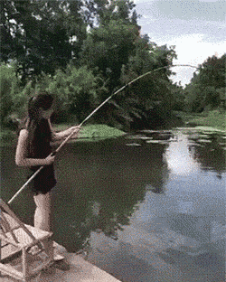 1649897657000.gif