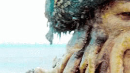 1650416192889.gif