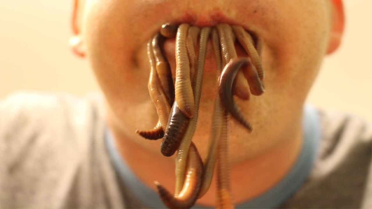 1650479028500.png