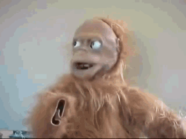 1655217542582.gif