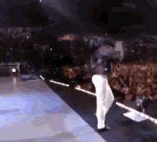 1680883923667.gif