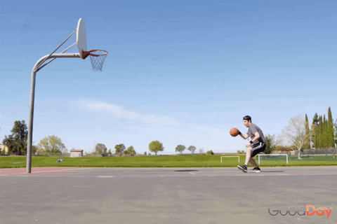 1687554577772.gif