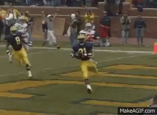 1713066111248.gif