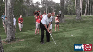 1742614531648.gif