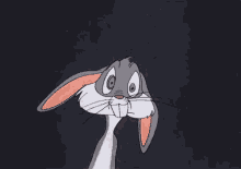 1742779384543.gif
