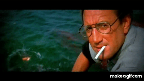 1743107903037.gif