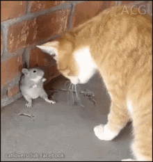 1774585720983.gif
