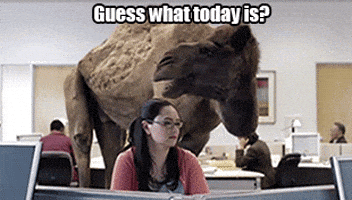 1776255802325.gif