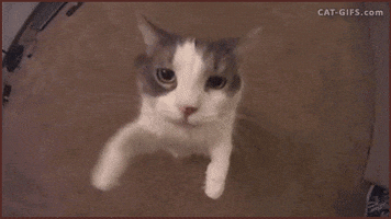 200-32.gif
