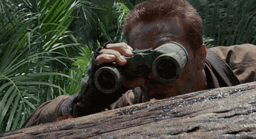 200 (8).gif