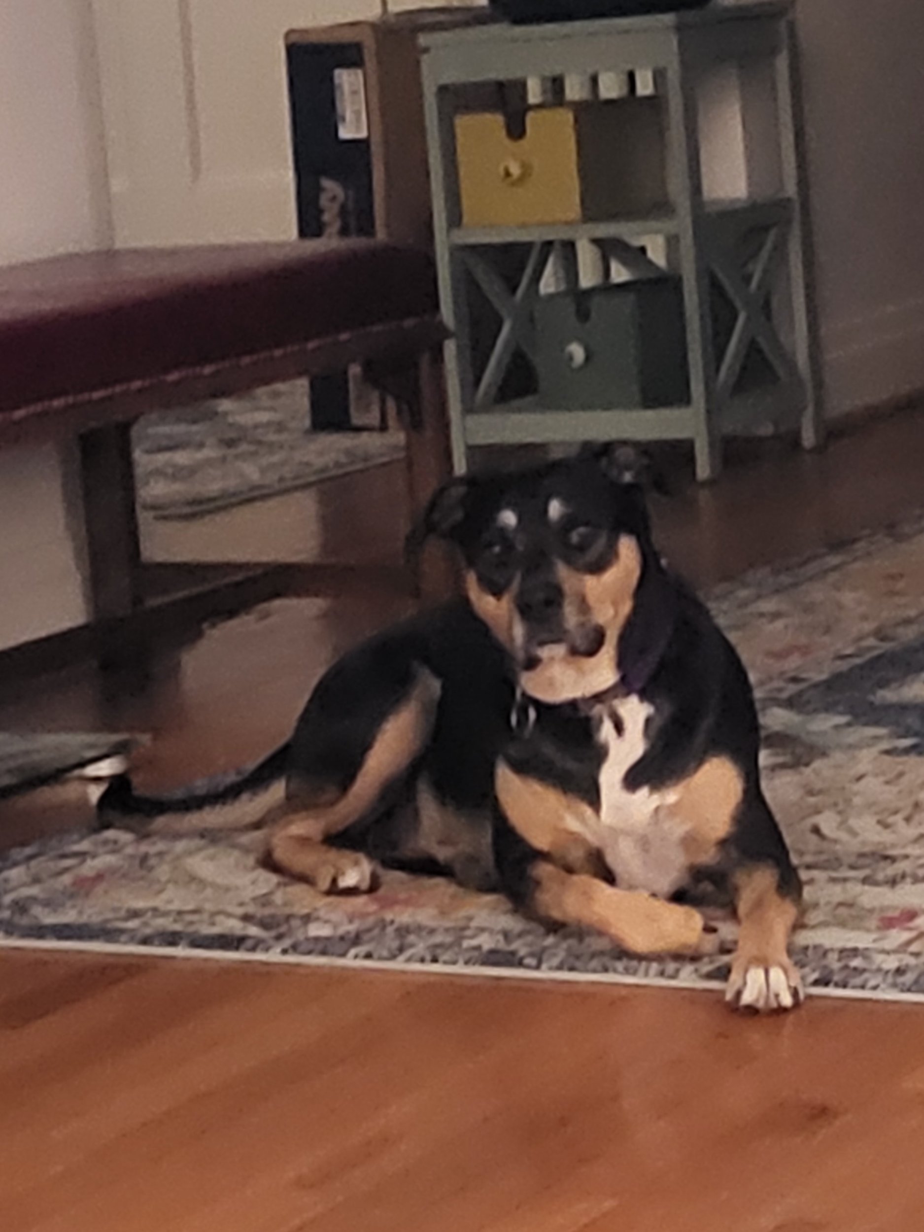 20230612_221533.jpg