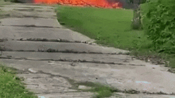405ADAF4-8B44-41B1-A004-27185C1B032E.gif