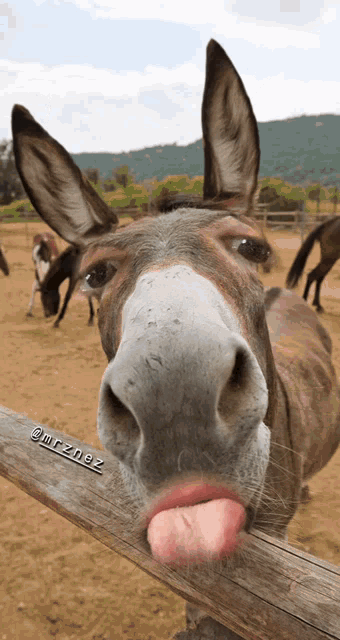 6240B5B8-E73F-4F51-B8D4-EAC1780E951D.gif