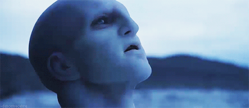 74778.gif