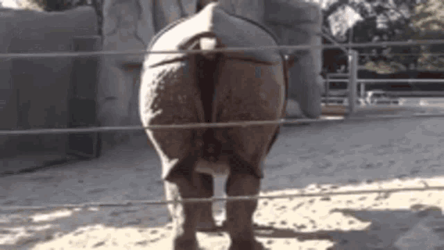 7D2CB465-208D-4862-9054-716DC12685A2.gif