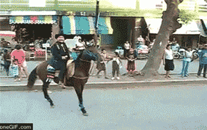 82418602.gif