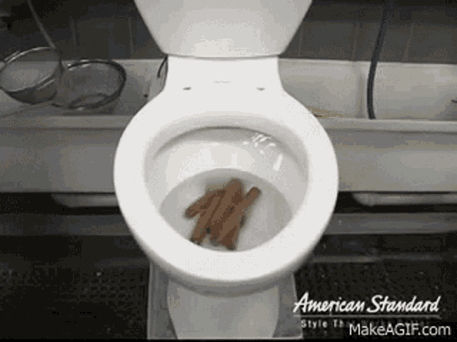8681821F-2322-4C99-8DB6-F85BF234CC97.gif
